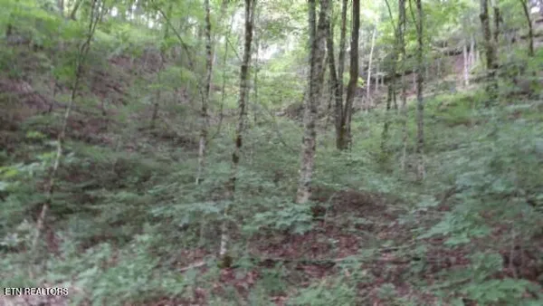 $32,500 | 2.64 Old Hwy 53 S, Celina, TN 38551