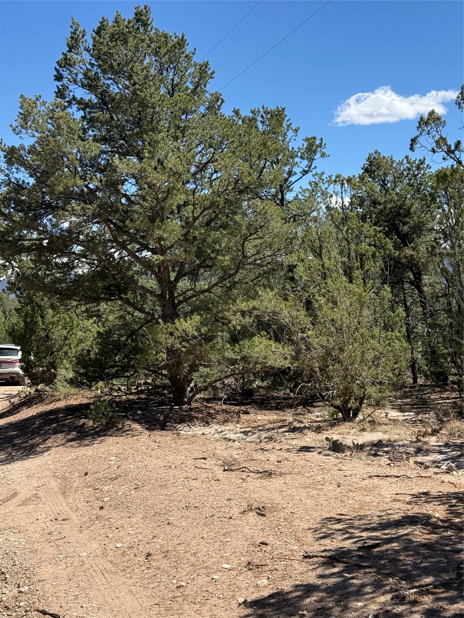 174 Hidden Valley Ranch Road Ilfeld, NM 87538 - Photo 18 of 30