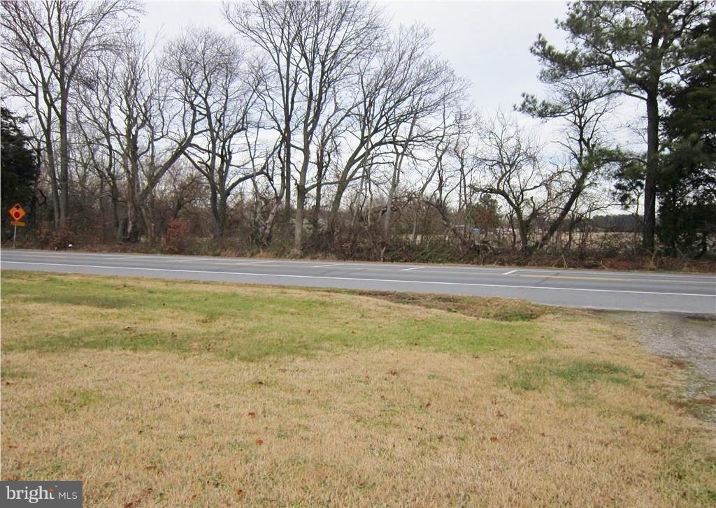 20264 Atlanta Road Bridgeville, DE 19933 - Photo 3 of 22 Gallery Image 3