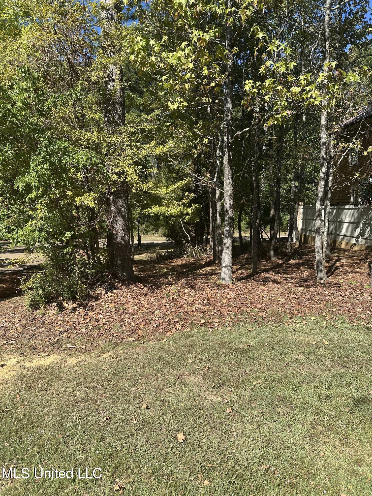 143 Louis Lefleur Boulevard East Madison, MS 39110 - Photo 3 of 3 IMG_6005