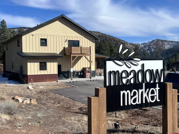 a view of a yard with plants and a bench