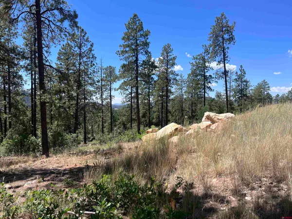 $329,900 | 767 Red Canyon Trail, Durango, CO 81301