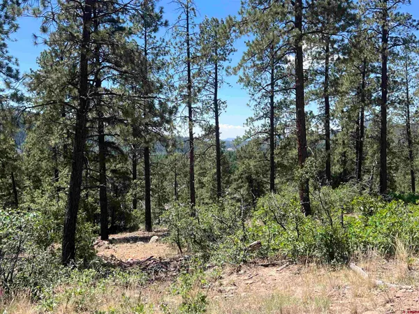 $329,900 | 767 Red Canyon Trail, Durango, CO 81301