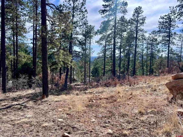 a view of outdoor space with trees