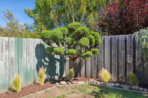 a view of a backyard with of a house