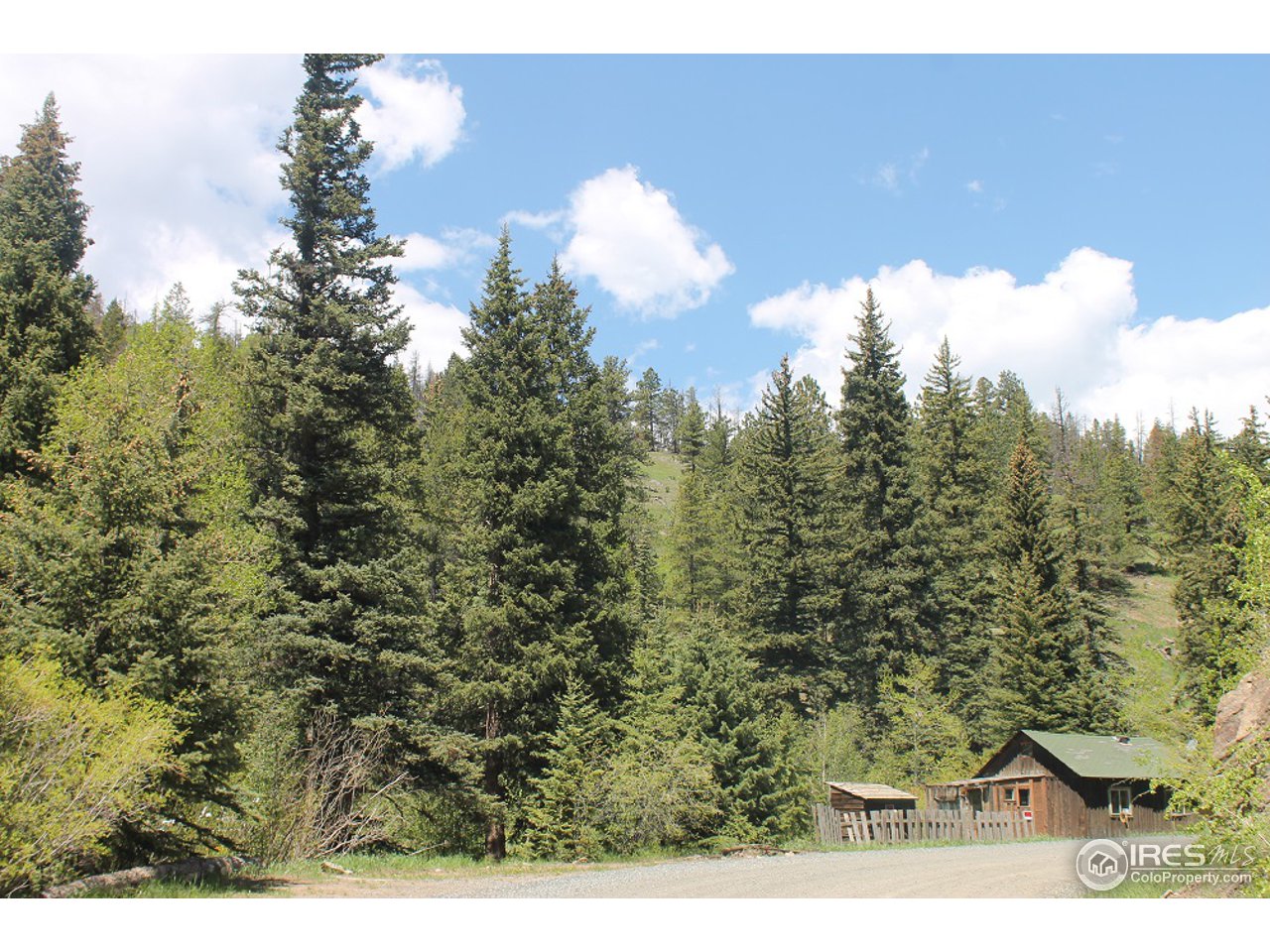 31433 Buckhorn Road Bellvue, CO 80512 - Photo 1 of 39 It's a Getaway!
