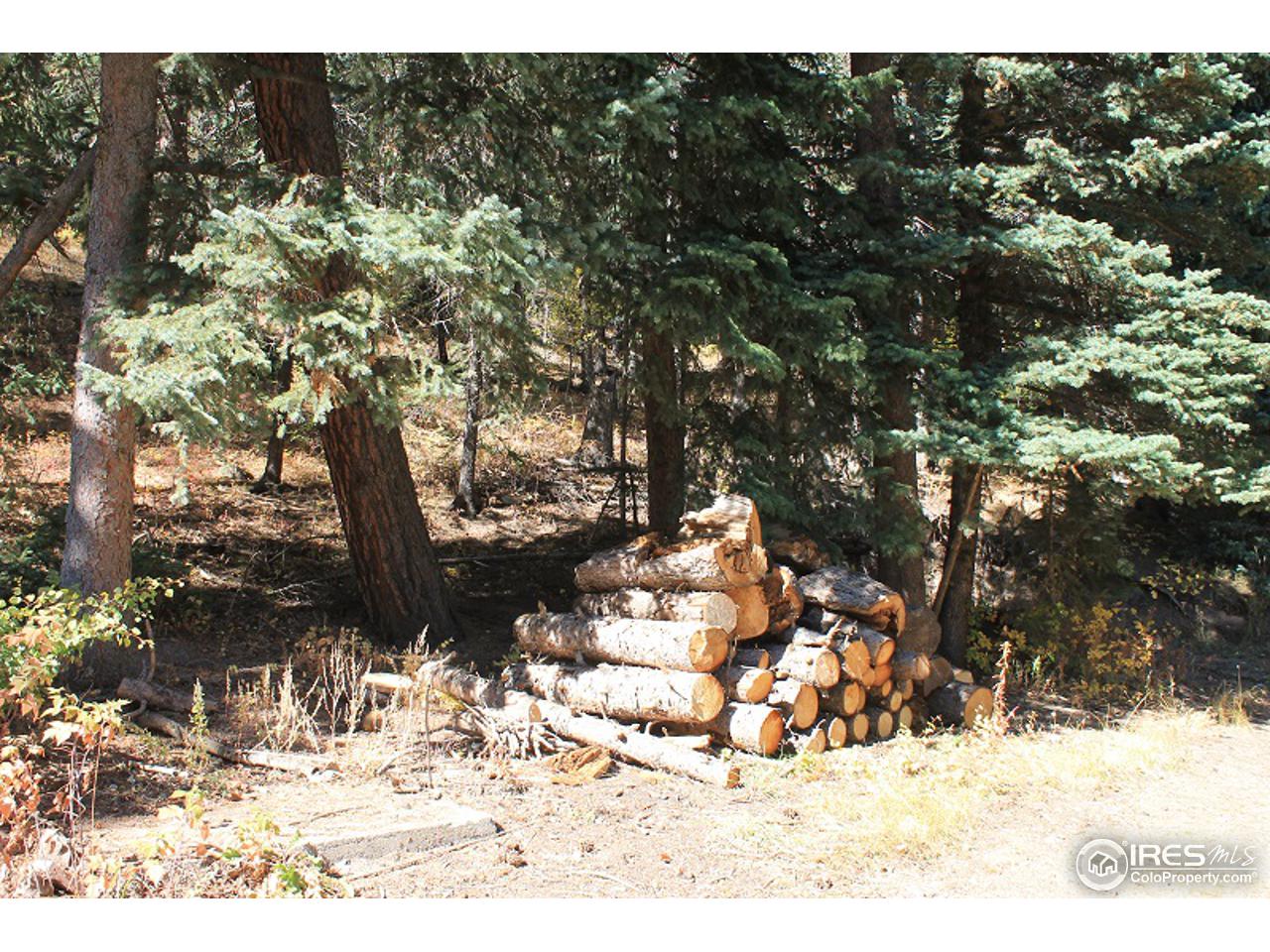 31433 Buckhorn Road Bellvue, CO 80512 - Photo 18 of 39 Gallery Image 18