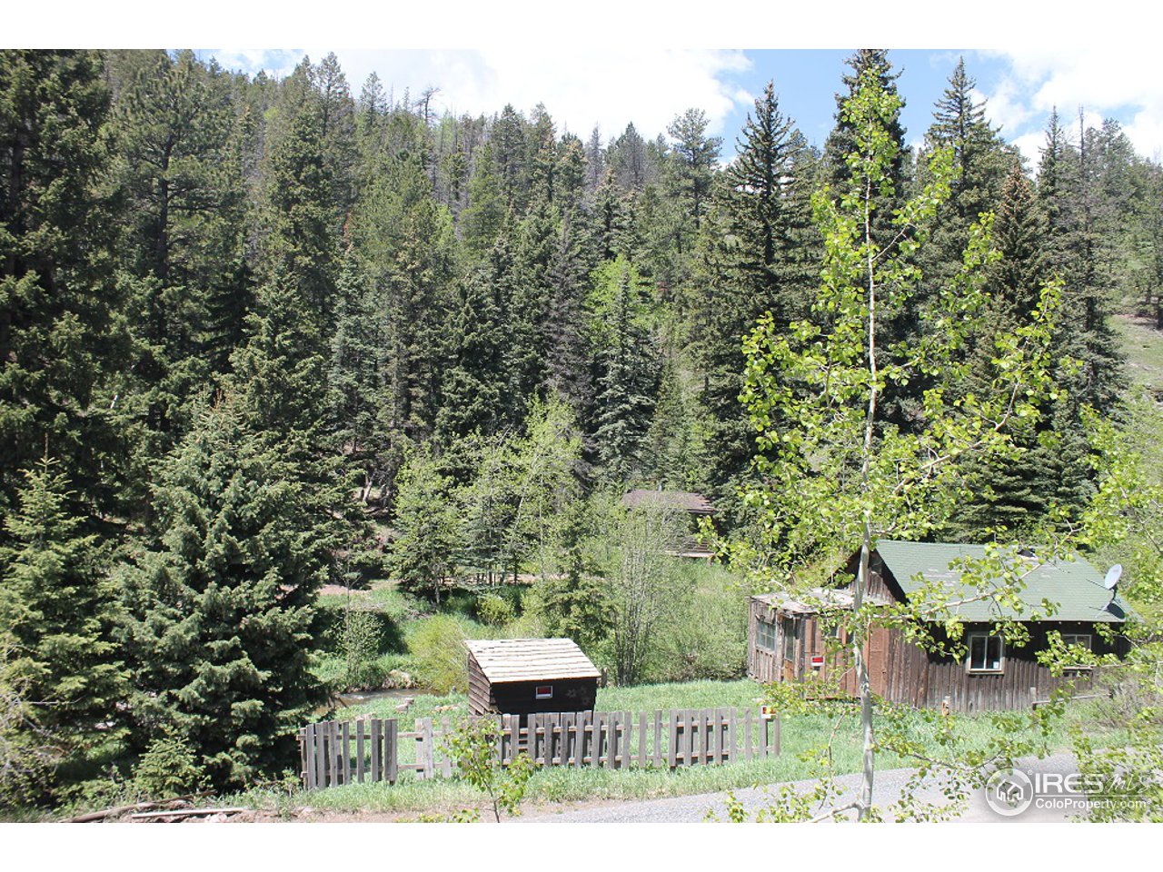 31433 Buckhorn Road Bellvue, CO 80512 - Photo 2 of 39 Tucked back in the Trees