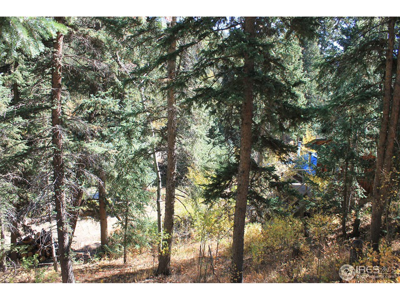 31433 Buckhorn Road Bellvue, CO 80512 - Photo 25 of 39 Gallery Image 25