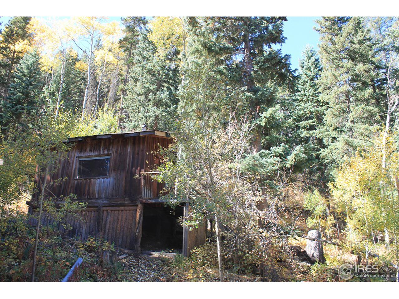 31433 Buckhorn Road Bellvue, CO 80512 - Photo 28 of 39 Gallery Image 28