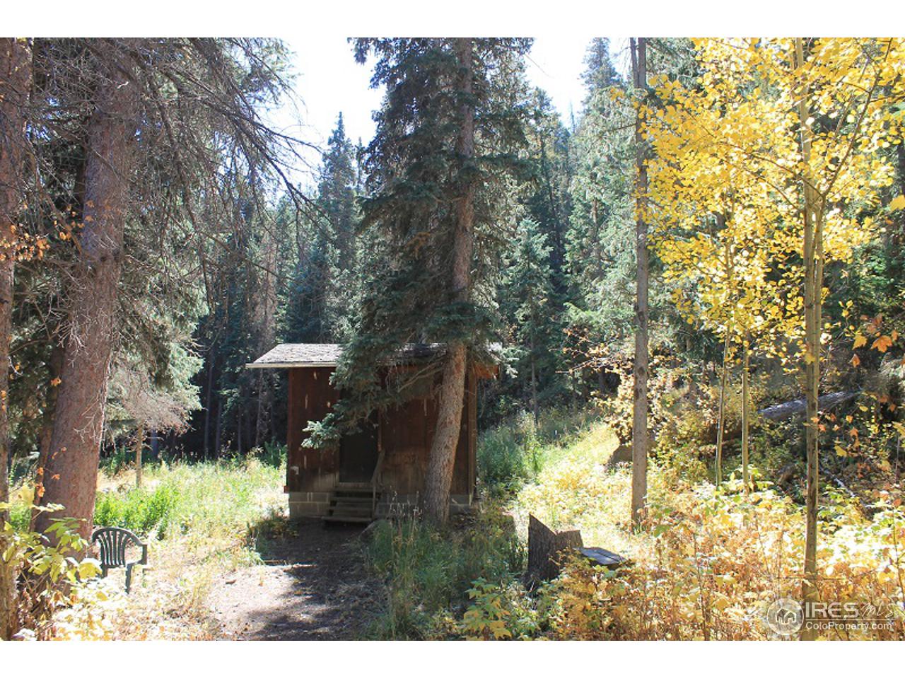 31433 Buckhorn Road Bellvue, CO 80512 - Photo 33 of 39 Storage cabin