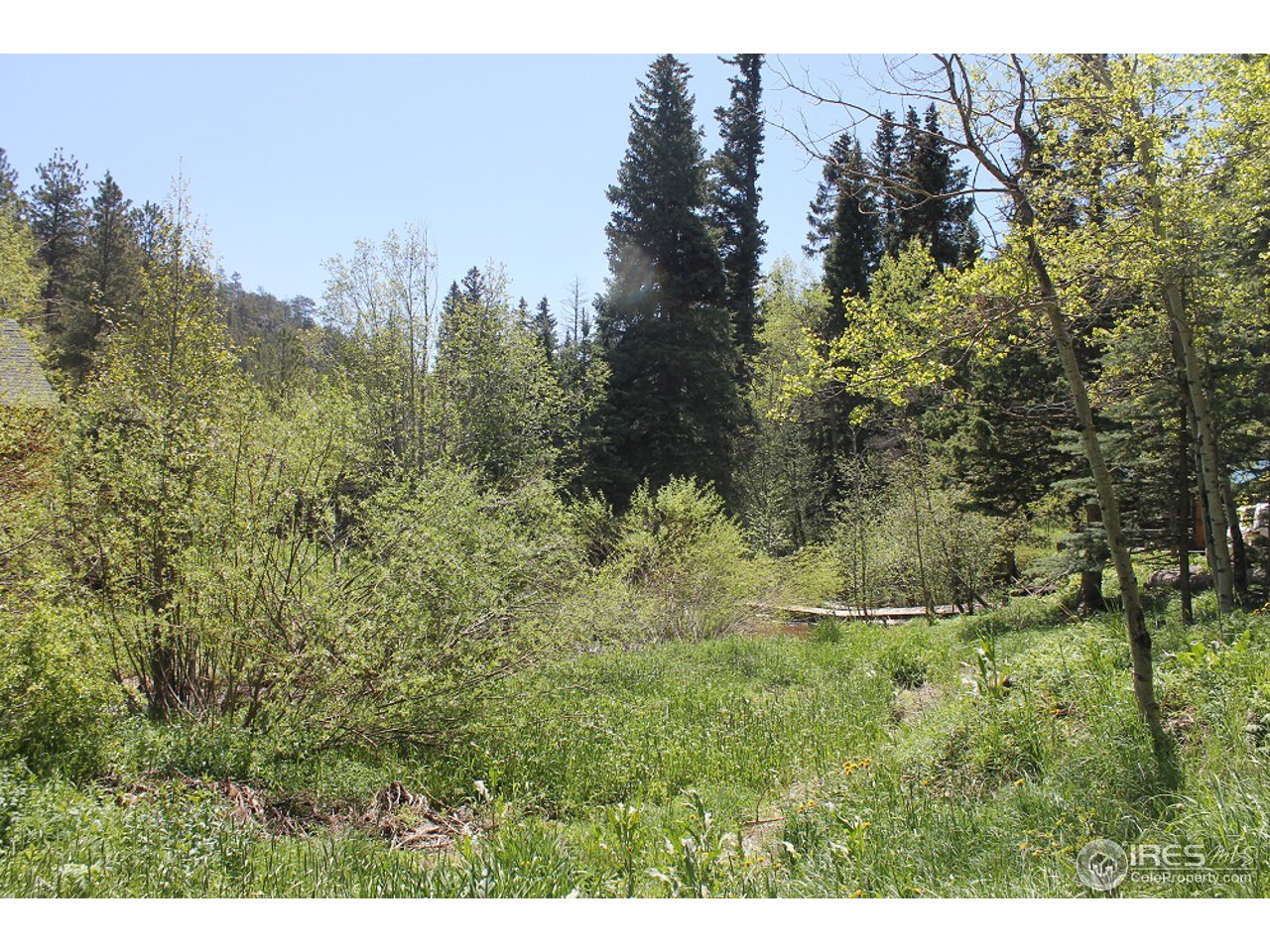 31433 Buckhorn Road Bellvue, CO 80512 - Photo 35 of 39 Your Own Getaway
