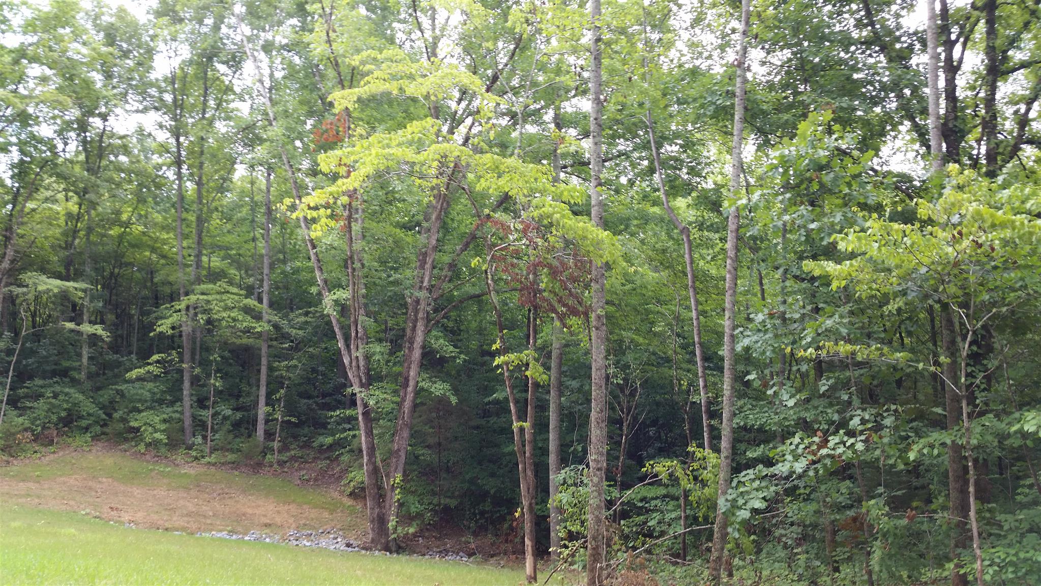 3 Rose Ridge Fairview, TN 37062 - Photo 3 of 6 Gallery Image 3