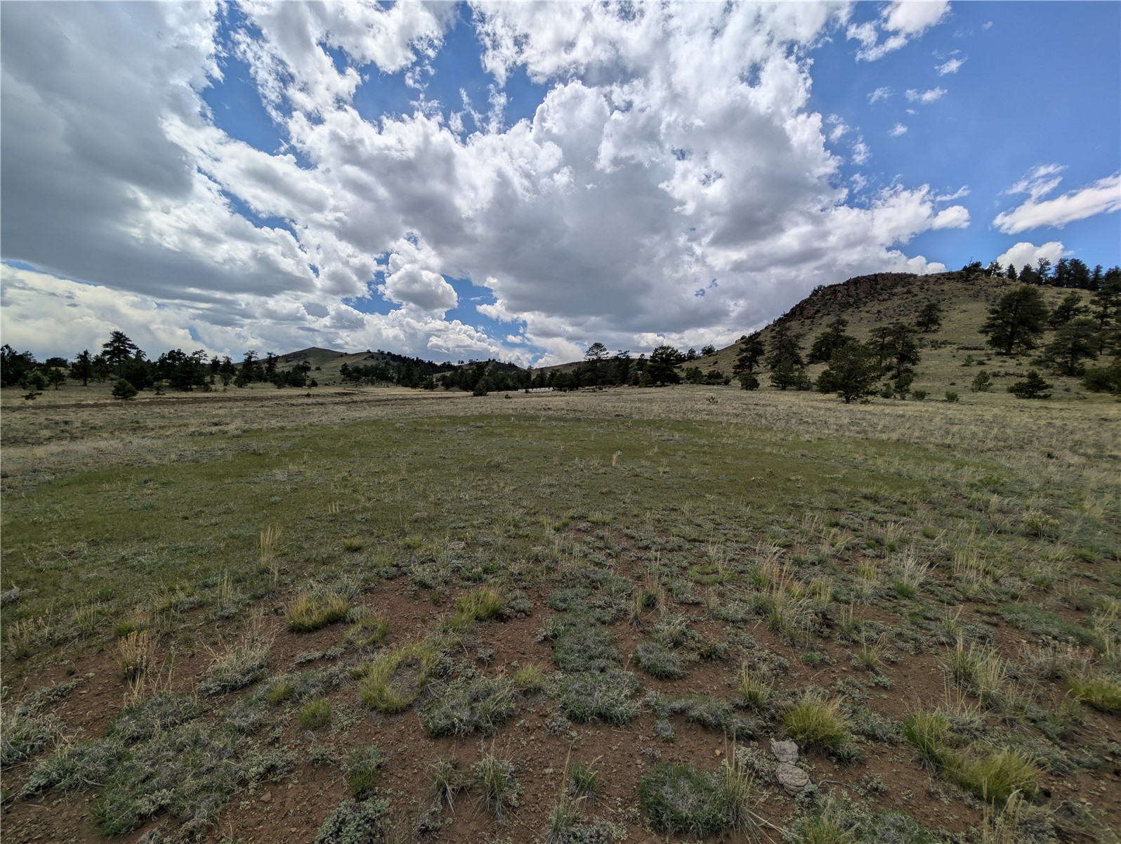 0 Black Beaver Road Hartsel, CO 80449 - Photo 1 of 28 Gallery Image 1