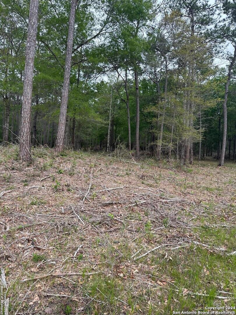 1035 Cub Drive Kountze, TX 77625 - Photo 3 of 5