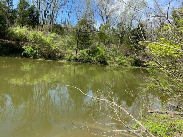 260 Doyle Road Brooksville, KY 41004 - Photo 2 of 5 Gallery Image 2
