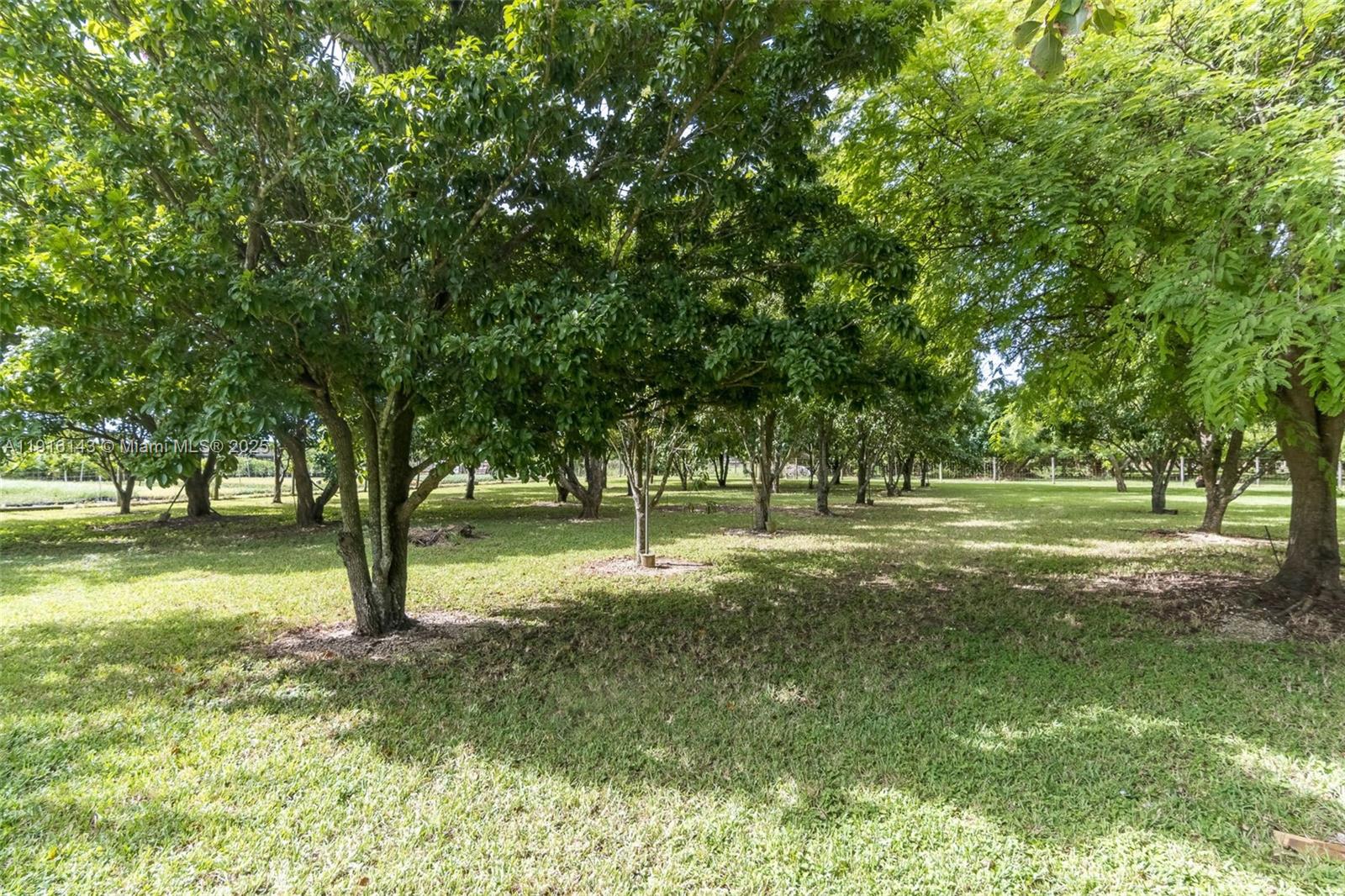 21820 Southwest 254th Street Homestead, FL 33031 - Photo 26 of 26