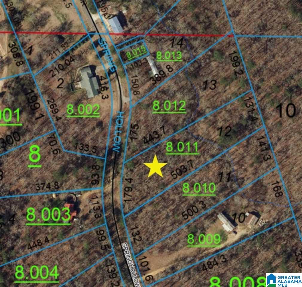 0 Springhollow Drive, Unit 12 Ashville, AL 35953 - Photo 10 of 17