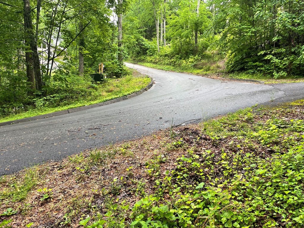 8 Burning Tree Lane Sevierville, TN 37862 - Photo 3 of 3