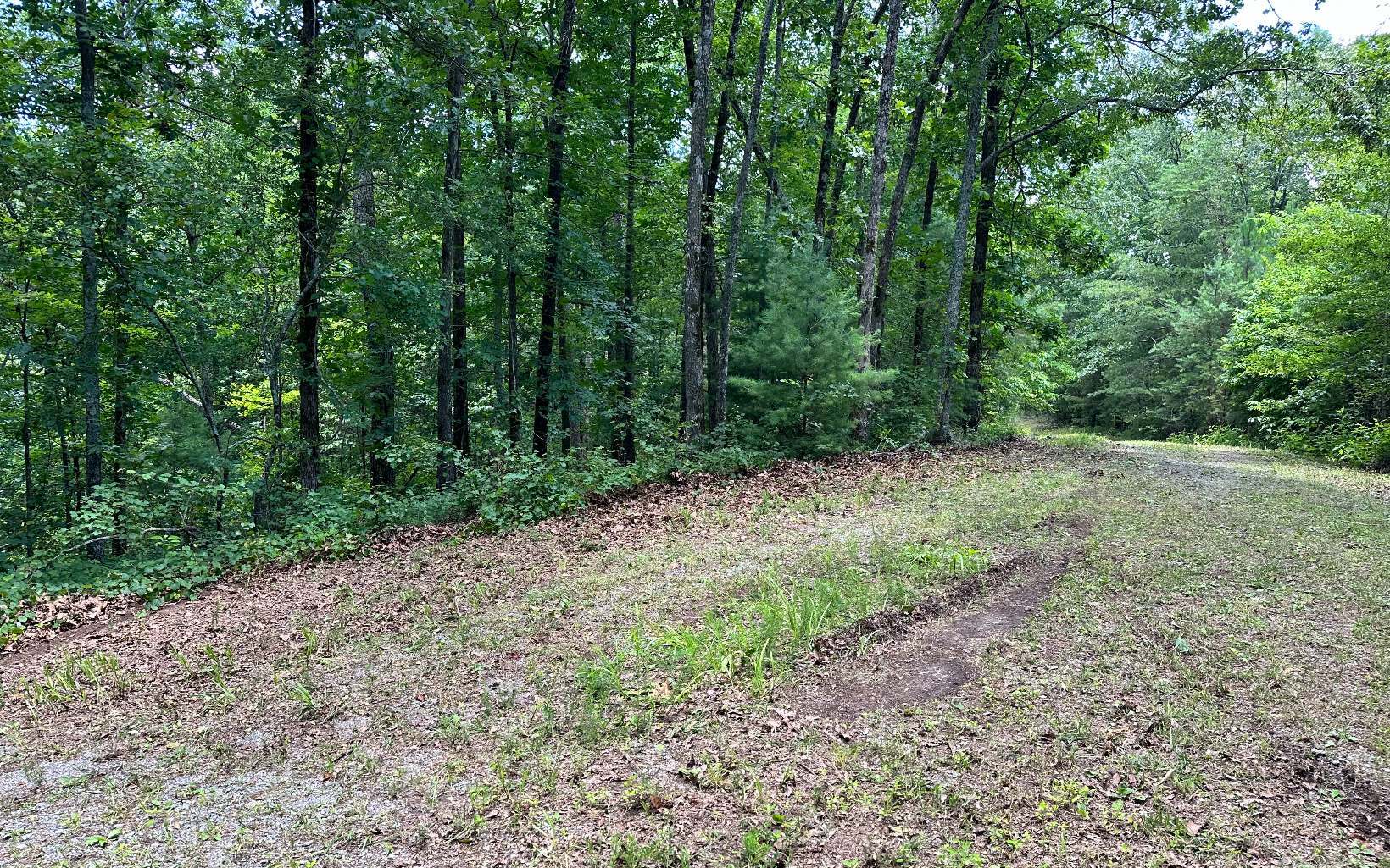 1719 Rebekah Ridge Road Talking Rock, GA 30175 - Photo 6 of 6 Additional View