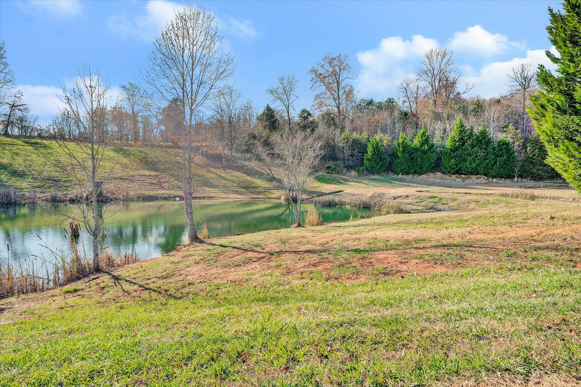 407 Aftons Meadow Road Vinton, VA 24179 - Photo 47 of 50 47-DSC00139
