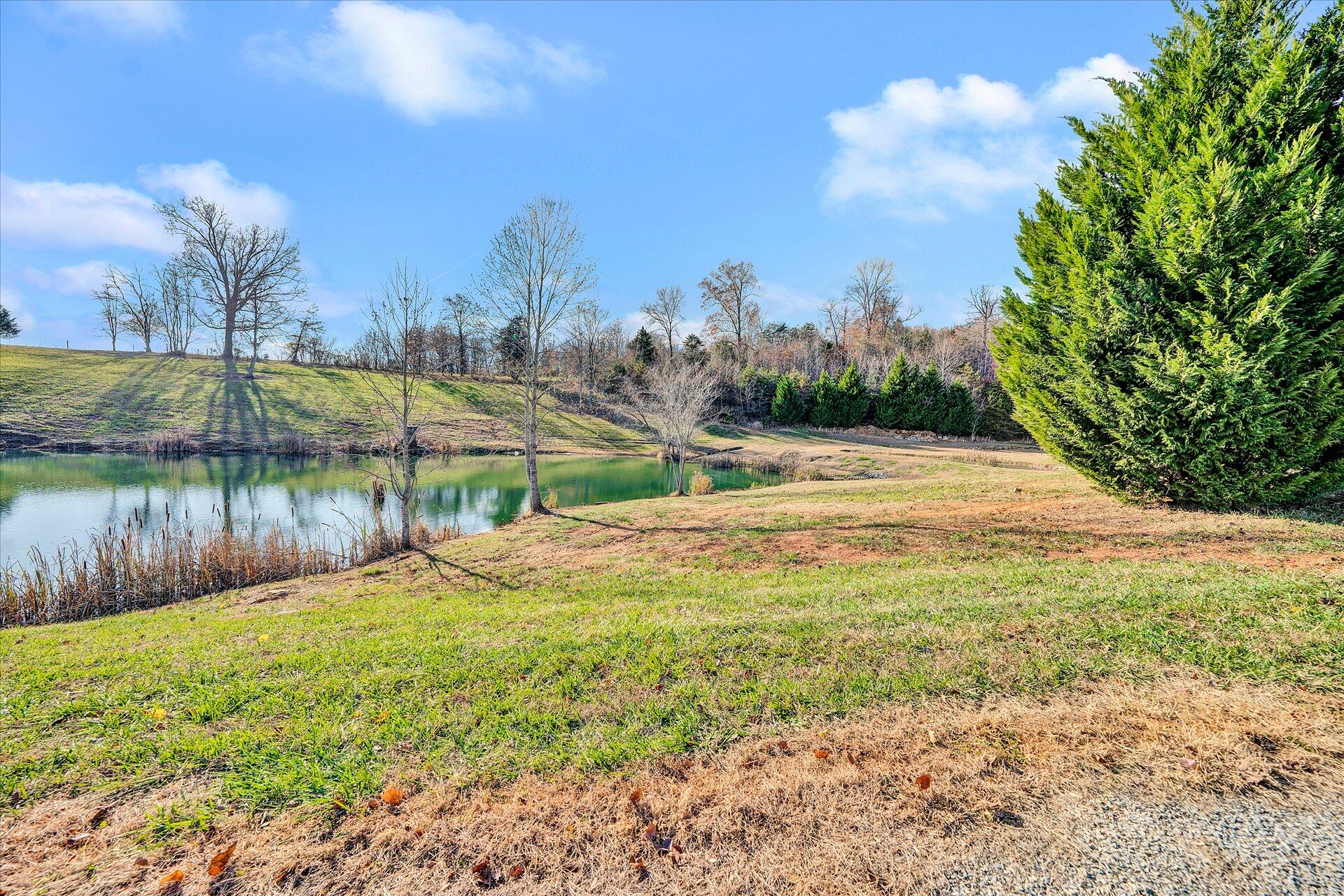 407 Aftons Meadow Road Vinton, VA 24179 - Photo 48 of 50 48-DSC00142