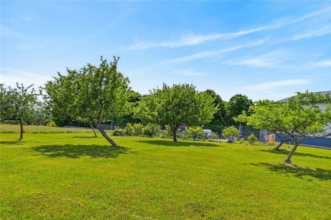 149 Andrews Road Sherburne, NY 13460 - Photo 47 of 49