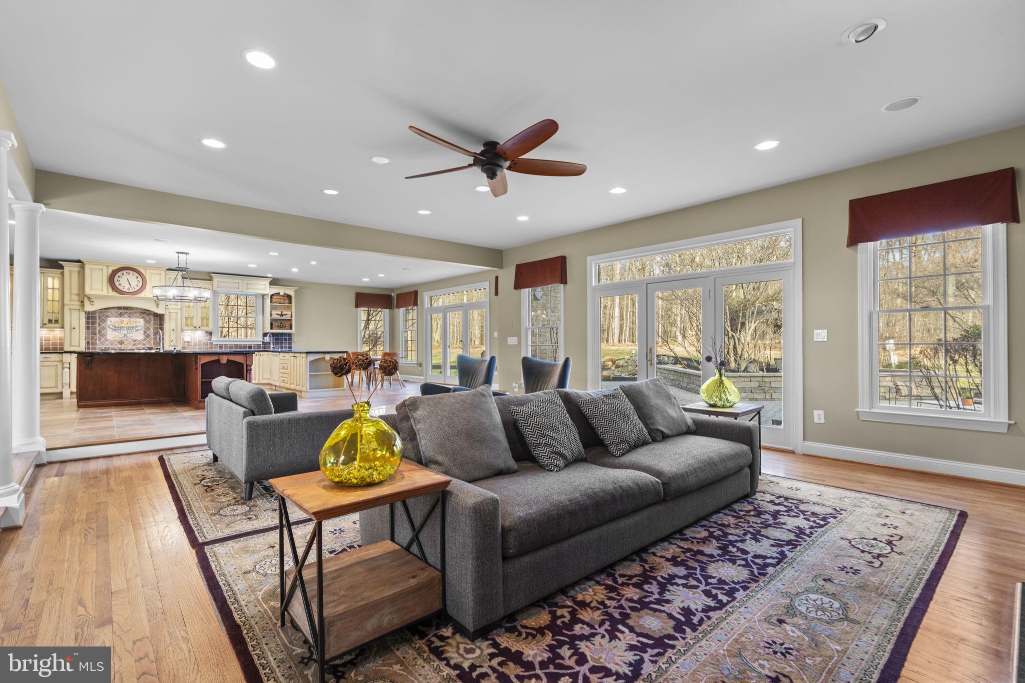 3091 Emerald Valley Road Ellicott City, MD 21042 - Photo 24 of 95 a living room with furniture and a rug