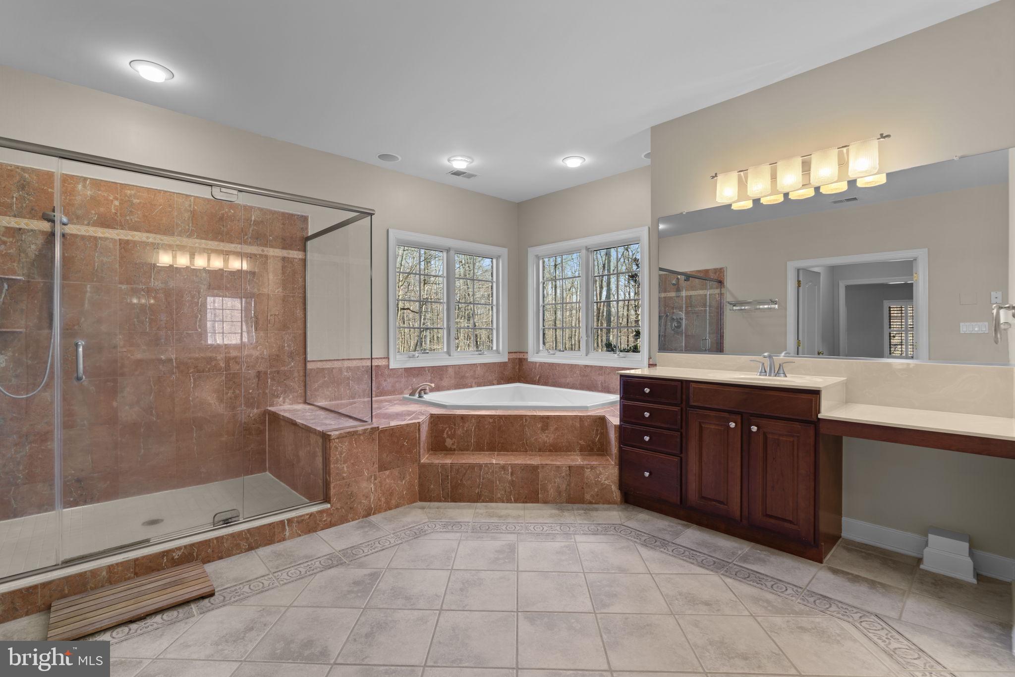 3091 Emerald Valley Road Ellicott City, MD 21042 - Photo 43 of 95 a large bathroom with a large tub shower and sink