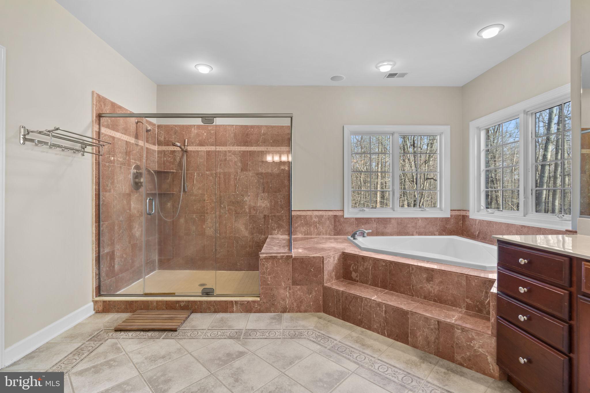 3091 Emerald Valley Road Ellicott City, MD 21042 - Photo 45 of 95 a spacious bathroom with a tub shower and sink