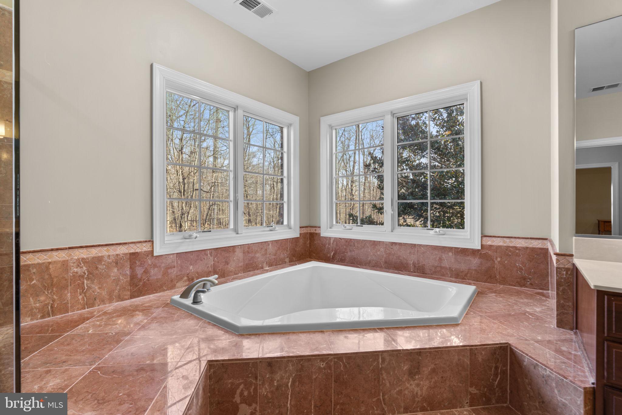 3091 Emerald Valley Road Ellicott City, MD 21042 - Photo 46 of 95 Primary Bathroom
