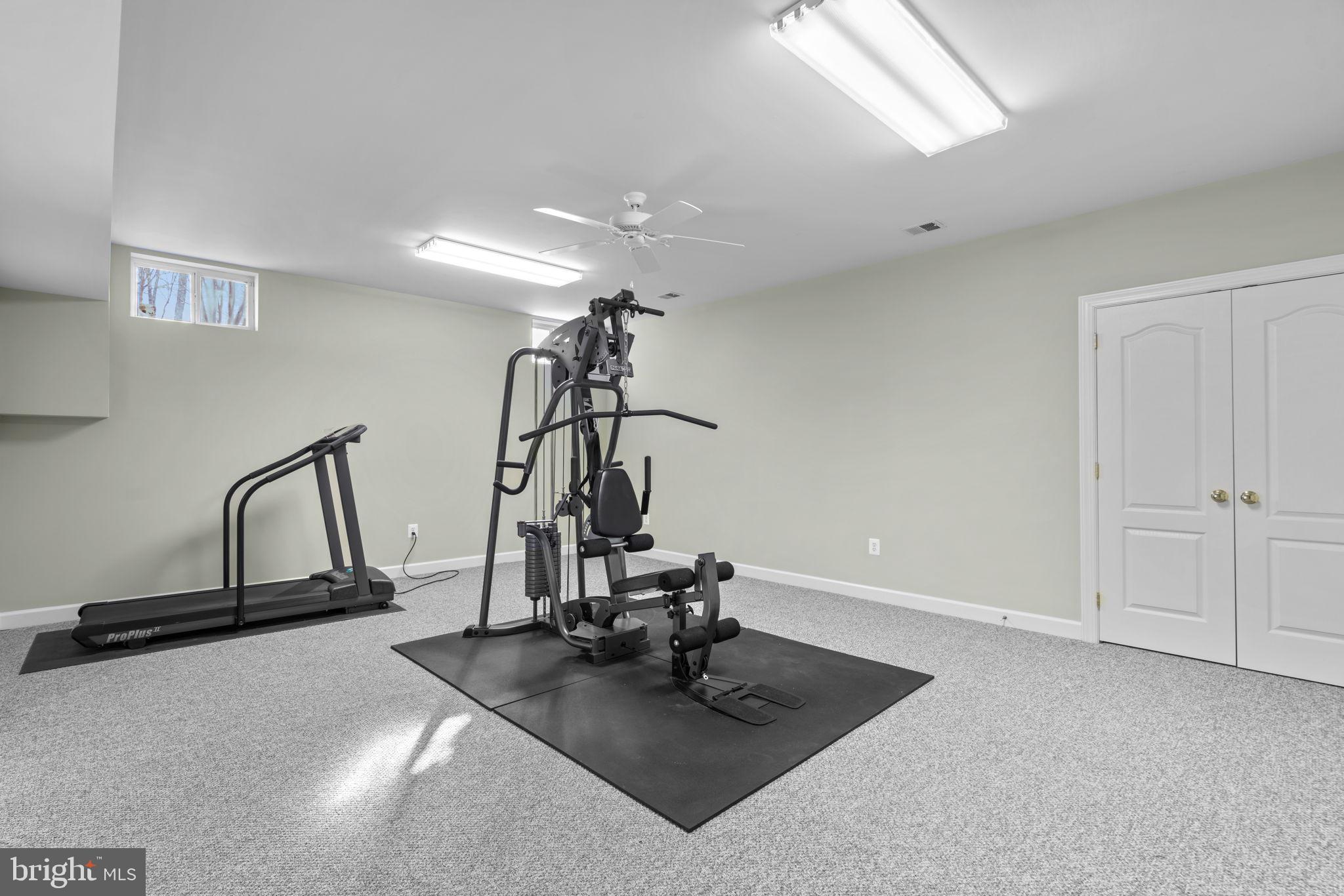 3091 Emerald Valley Road Ellicott City, MD 21042 - Photo 66 of 95 a view of a room with gym equipment