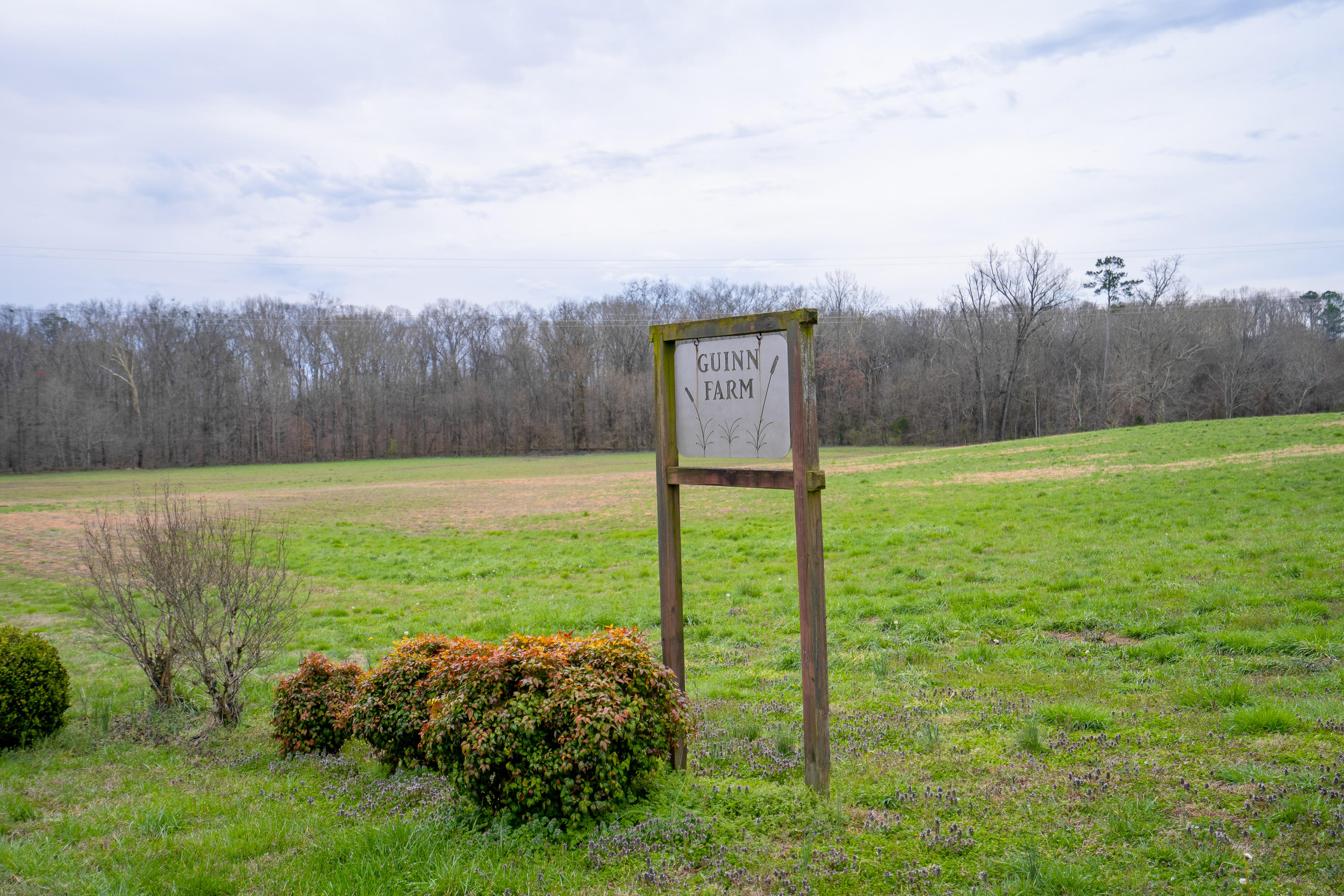 723 Kile Lake Road Southeast Cleveland, TN 37323 - Photo 40 of 57 Kile Lake add8