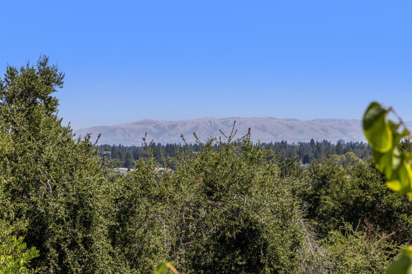941 High Road Woodside, CA 94062 - Photo 2 of 10 a view of a lush green field