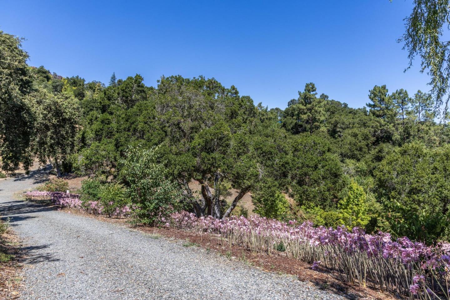 941 High Road Woodside, CA 94062 - Photo 3 of 10 a view of a large trees with green field