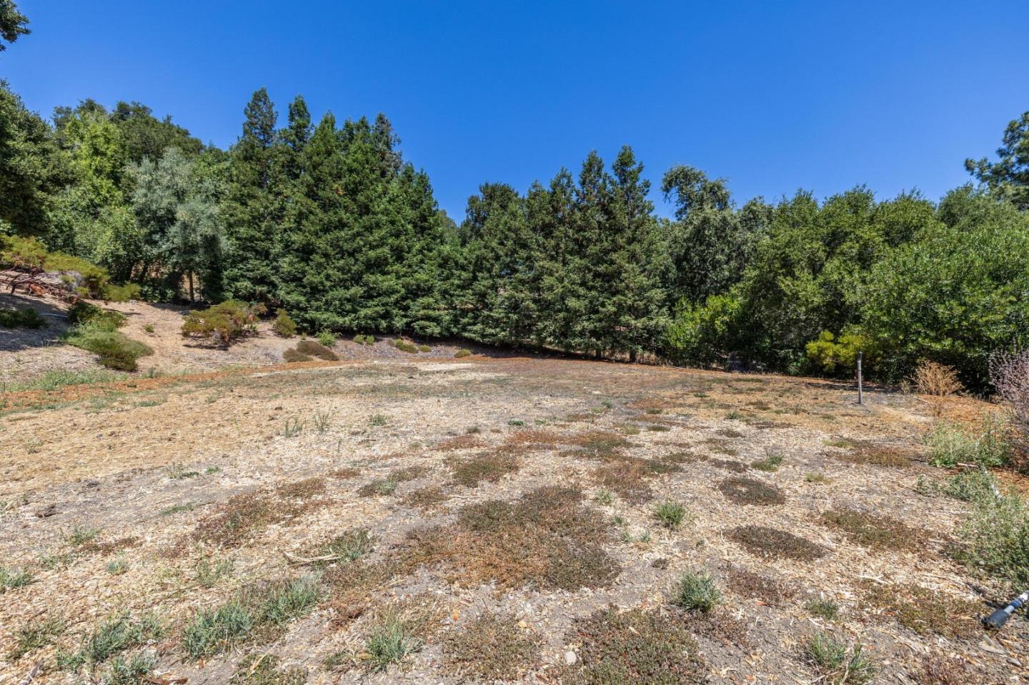 941 High Road Woodside, CA 94062 - Photo 4 of 10 a view of a yard with a tree