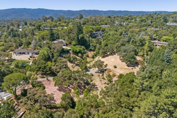 a view of a city with lush green forest