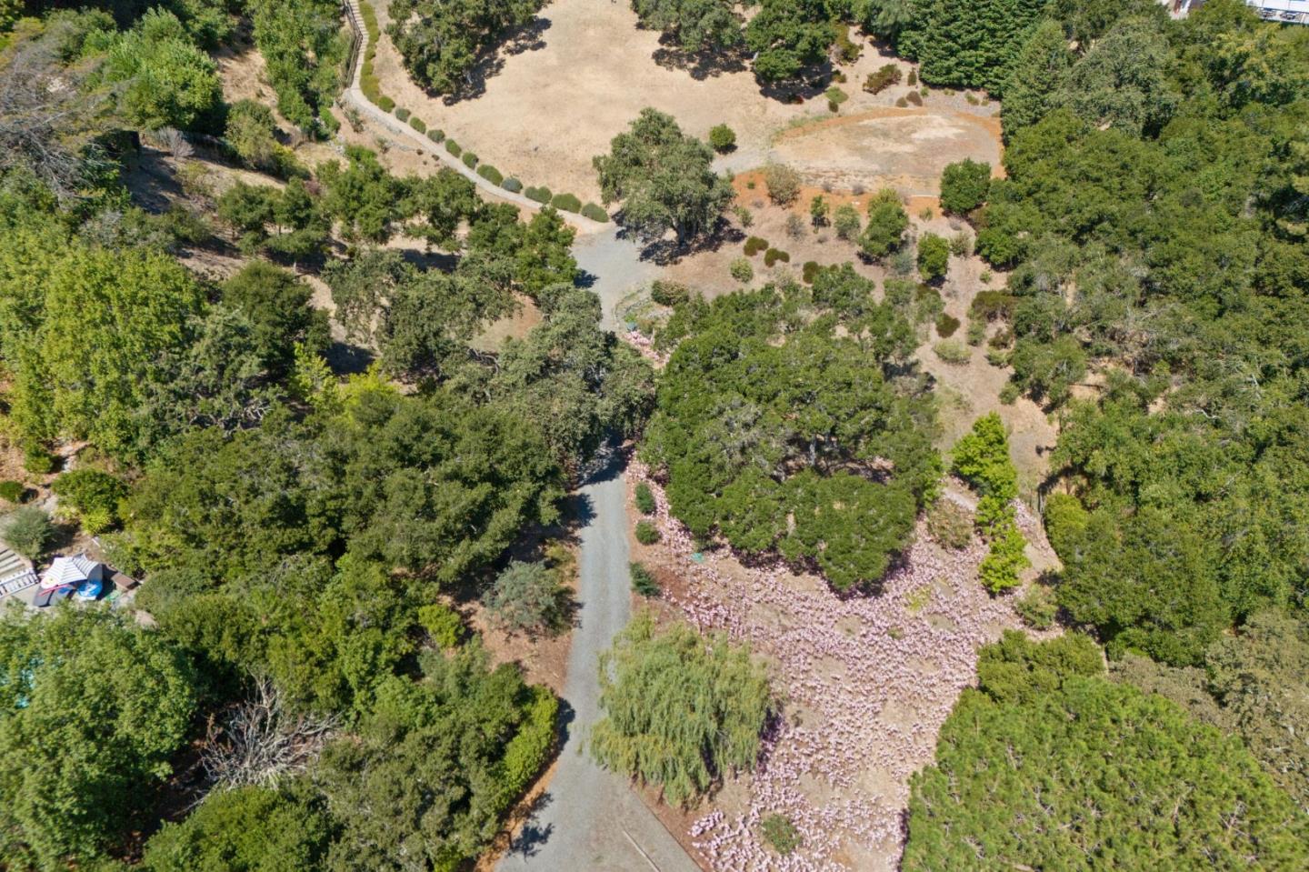941 High Road Woodside, CA 94062 - Photo 8 of 10 a view of a yard with plants