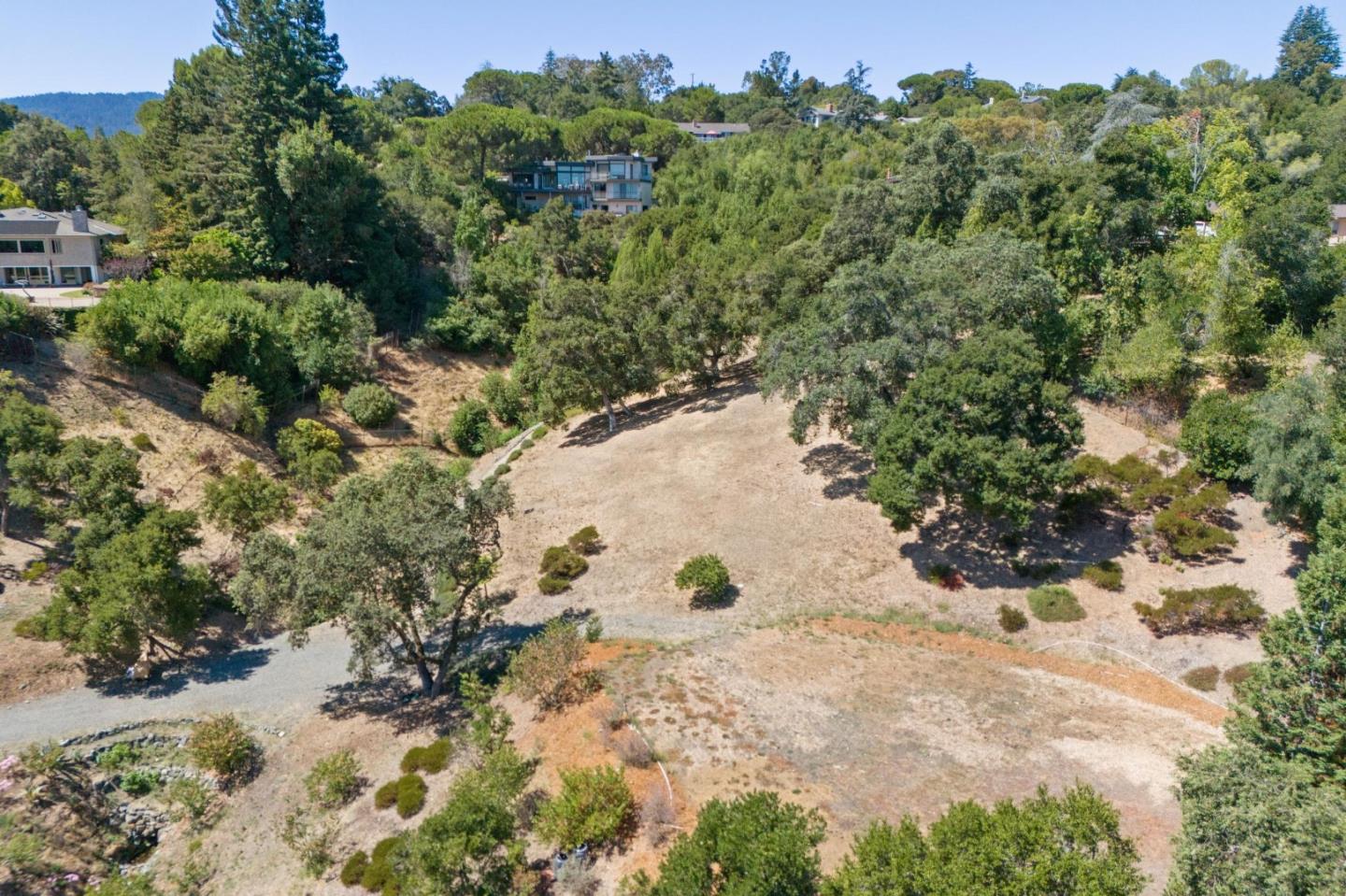 941 High Road Woodside, CA 94062 - Photo 9 of 10 a view of a tree with a yard in front of it