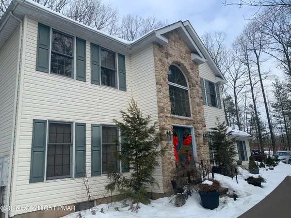 a potted plant sitting in front of a house