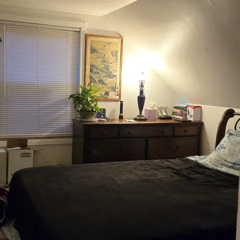 a bedroom with a bed and a potted plant