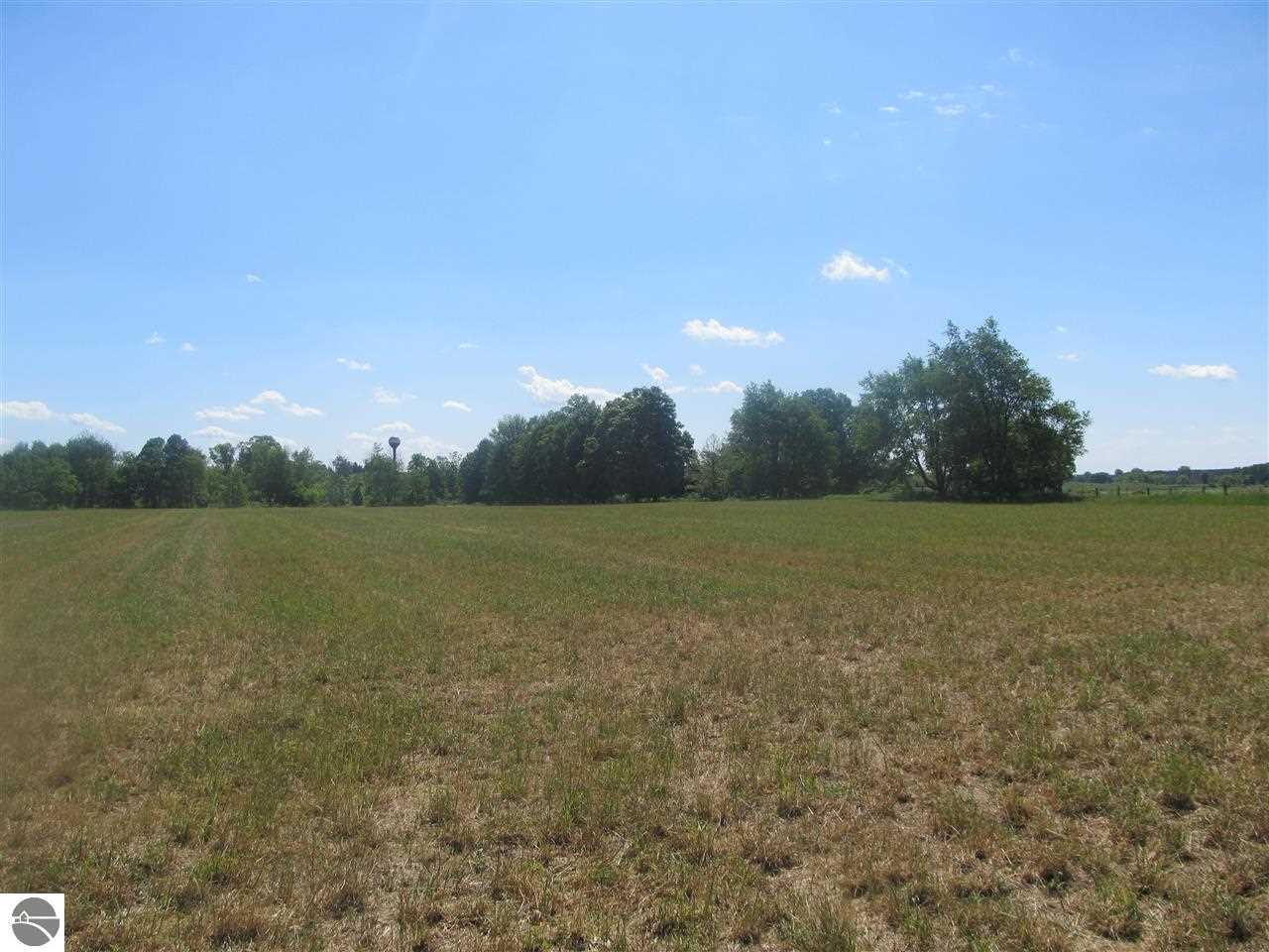 Tbd Tbd Curtis Road Mount Pleasant, MI 48858 - Photo 3 of 8 1786164-2.JPG