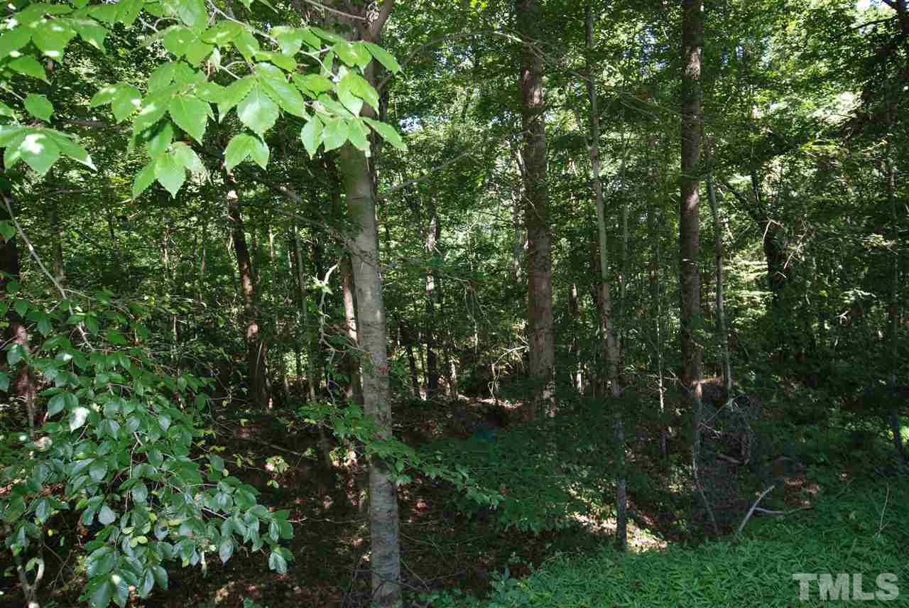 6908 Lake Wheeler Road Raleigh, NC 27603 - Photo 24 of 25 a view of a lush green forest