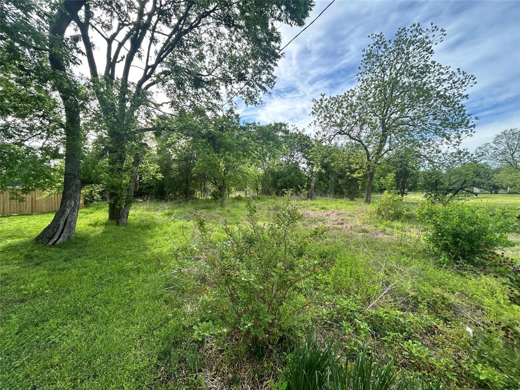 Tbd South 1st Street Point, TX 75472 - Photo 12 of 13 a big yard with lots of green space and fountain