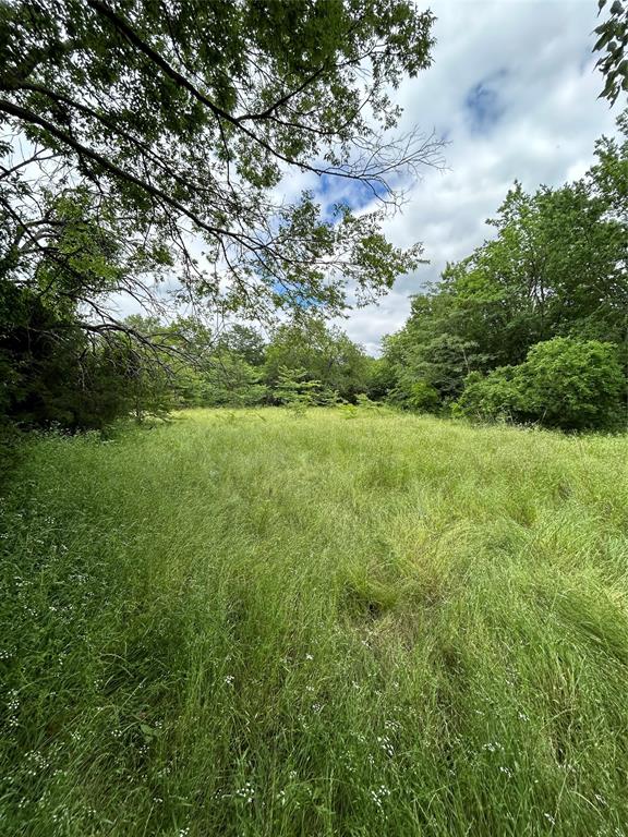 Tbd South 1st Street Point, TX 75472 - Photo 13 of 13 a view of a big yard with large trees
