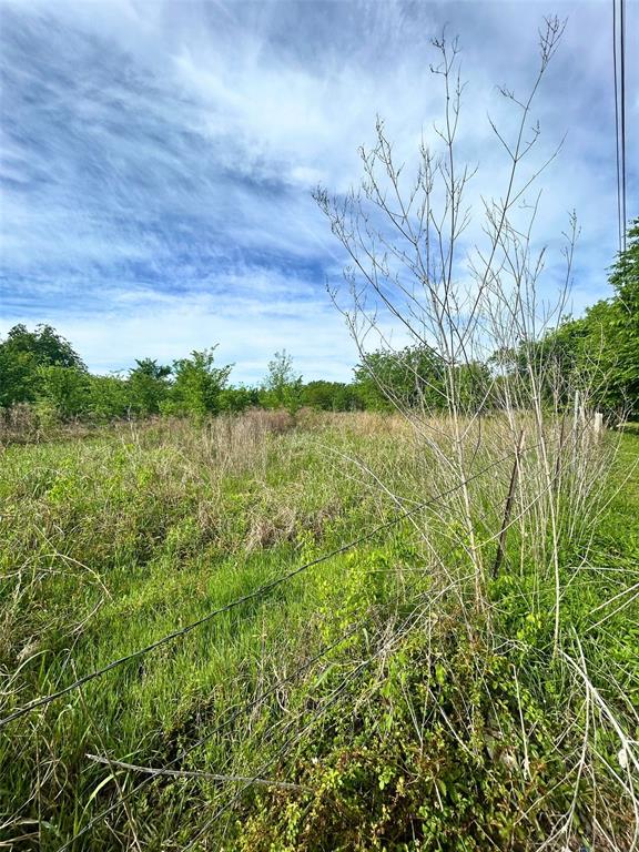 Tbd South 1st Street Point, TX 75472 - Photo 3 of 13 a view of a lake from a yard