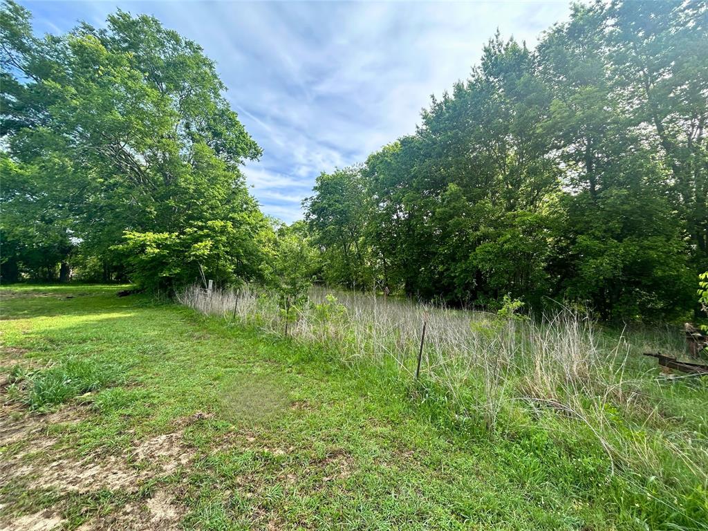 Tbd South 1st Street Point, TX 75472 - Photo 4 of 13