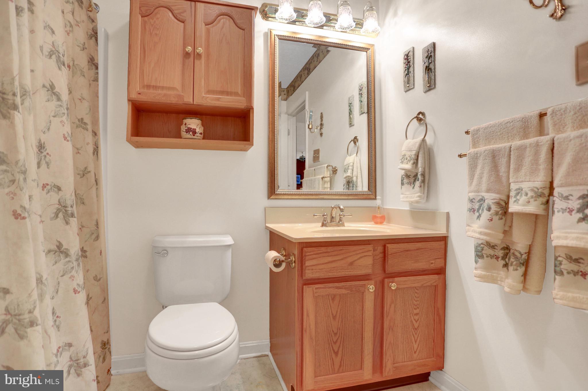 870 Bridgeton Road Fawn Grove, PA 17321 - Photo 27 of 30 QUALITY CABINETRY AND DECOR IN ALL BATHROOMS