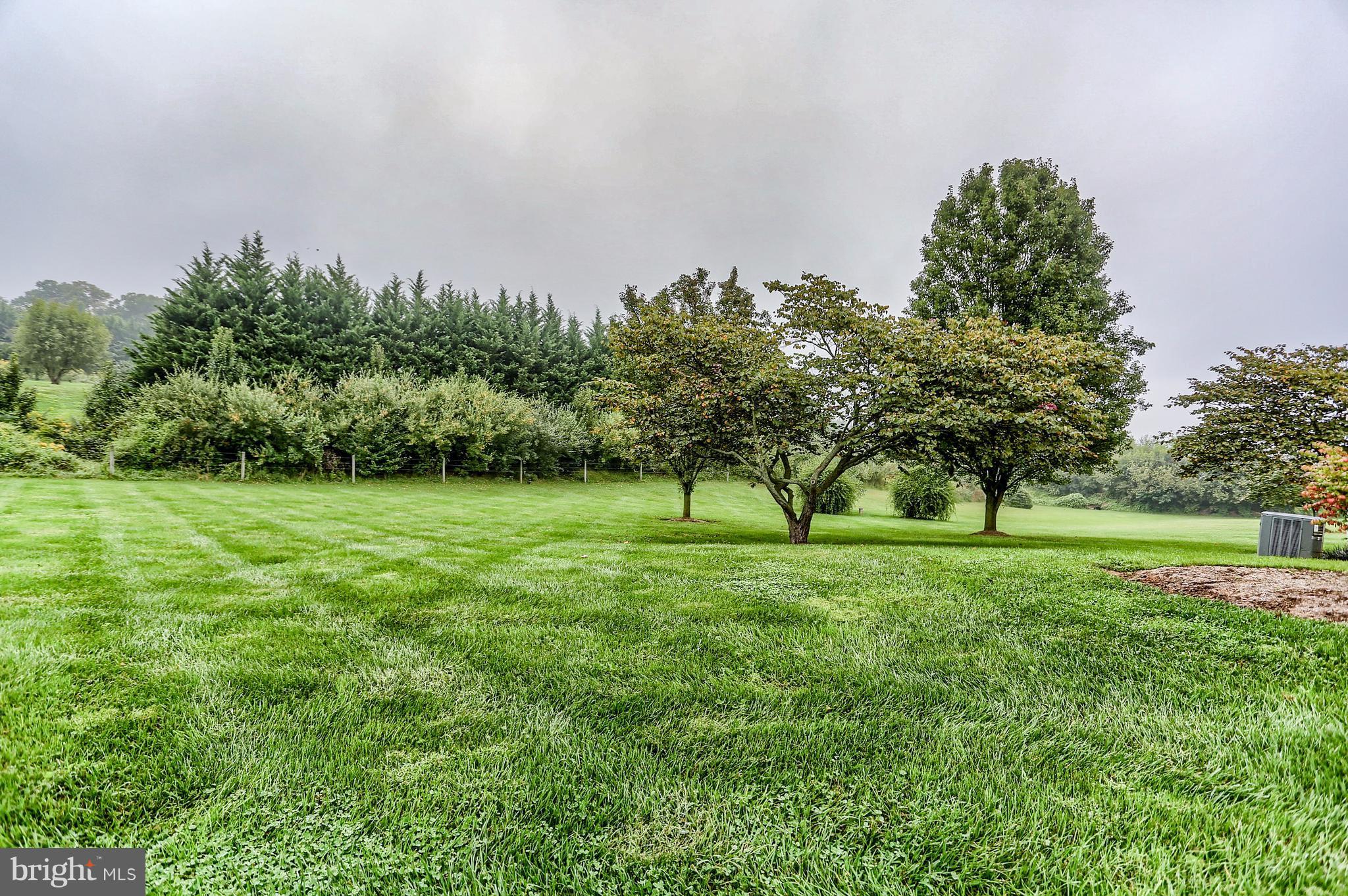 870 Bridgeton Road Fawn Grove, PA 17321 - Photo 7 of 30 MANICURED 1 AC. YARD BACKS TO LINE OF TREES