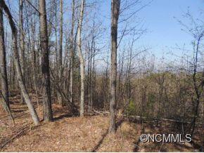 154 West W Ridge Bostic, NC 28018 - Photo 2 of 3